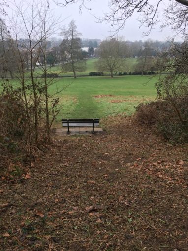 Bramble cleared to open this view.