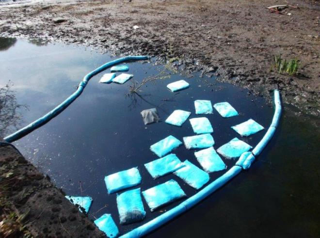 Mill Pond pollution booms