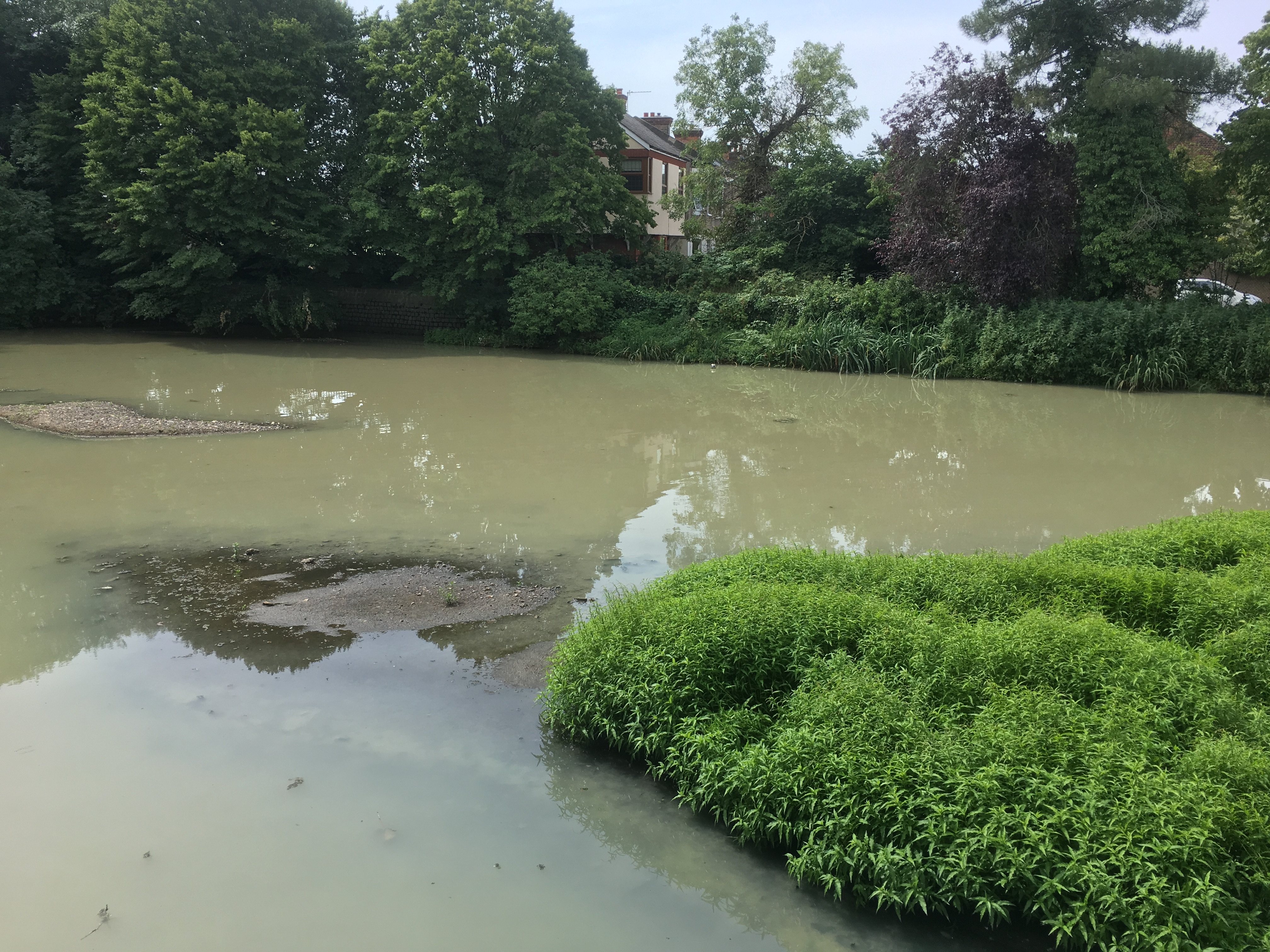 Illustrates an example of pollution on Mill Pond.