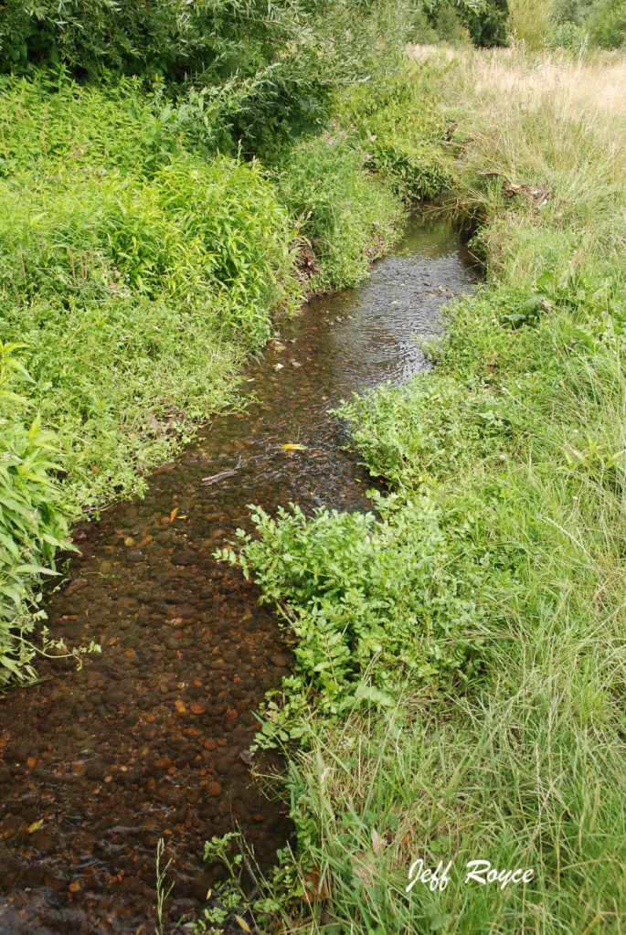 Quaggy at Chinbrook Meadows.