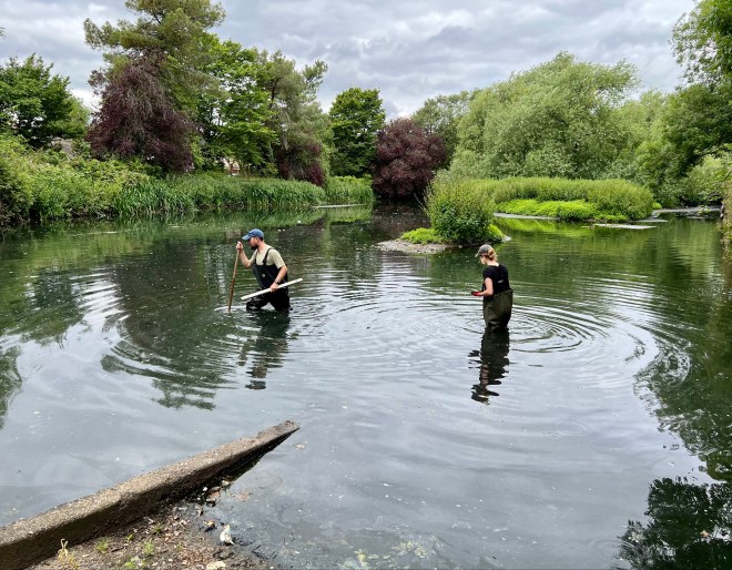 Surveying pond